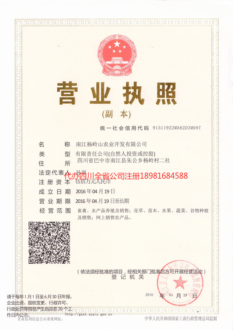 巴中市巴中市杨岭山农业开发有限公司